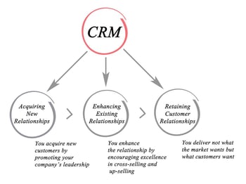 CRM and Sales Team